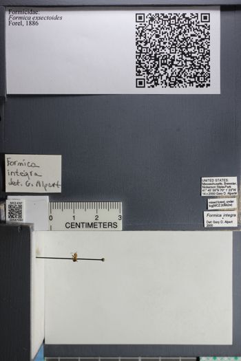 Media type: image;   Entomology 587080